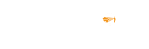 campus_ualn